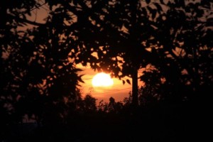 14165_10201875465155366_19227351_n